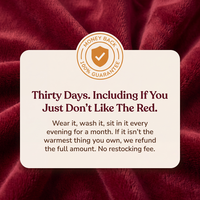 Santa Heated Wearable Blanket